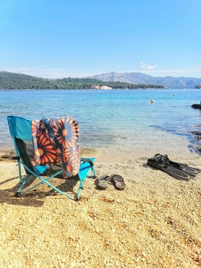 Sea View Apartment Amaro Korčula Esterno foto
